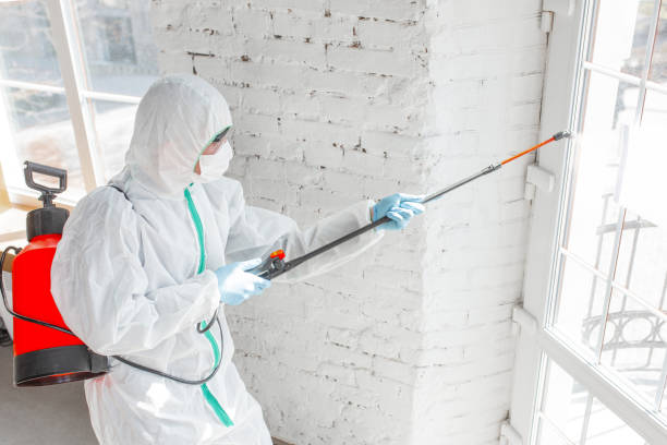 Best Comprehensive Air Testing for Mold Contaminants in Clay City, IN