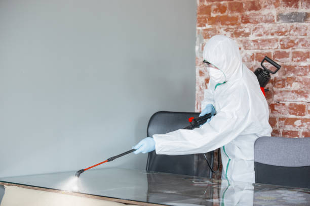 Trusted Clay City, IN Mold Removal Experts